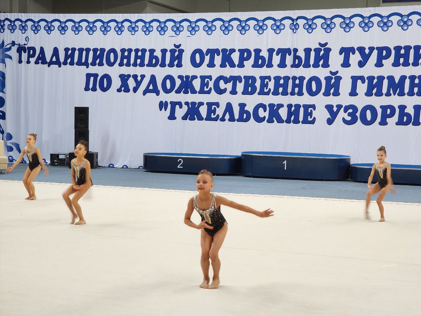 раменское, спорт, турнир по художественной гимнастике, гжельские узоры,