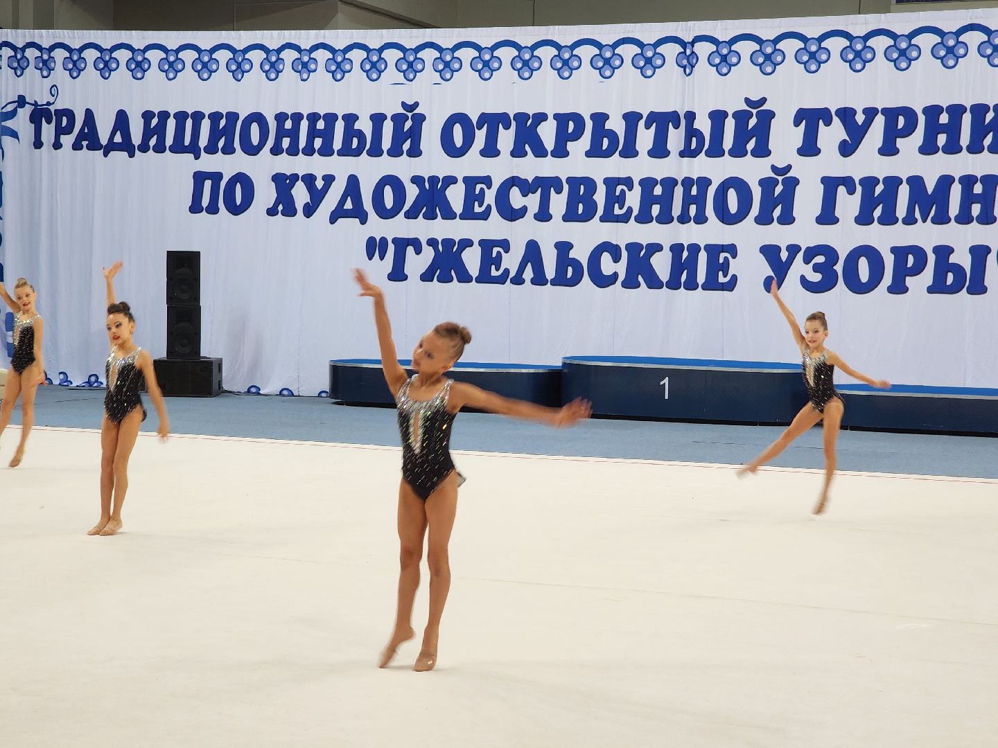 раменское, спорт, турнир по художественной гимнастике, гжельские узоры,