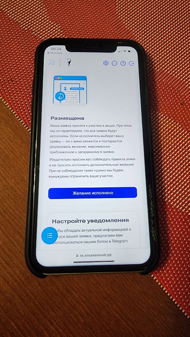 Подмосковье, Городской округ Пушкинский, Ивантеевка, елка желаний, Губернатор, новый год, мечты сбываются, Дети,