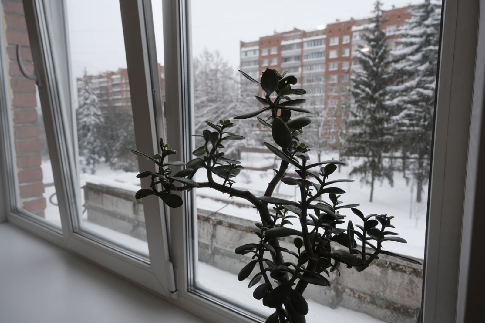 пущино, серпухов, жилье для детей-сирот,