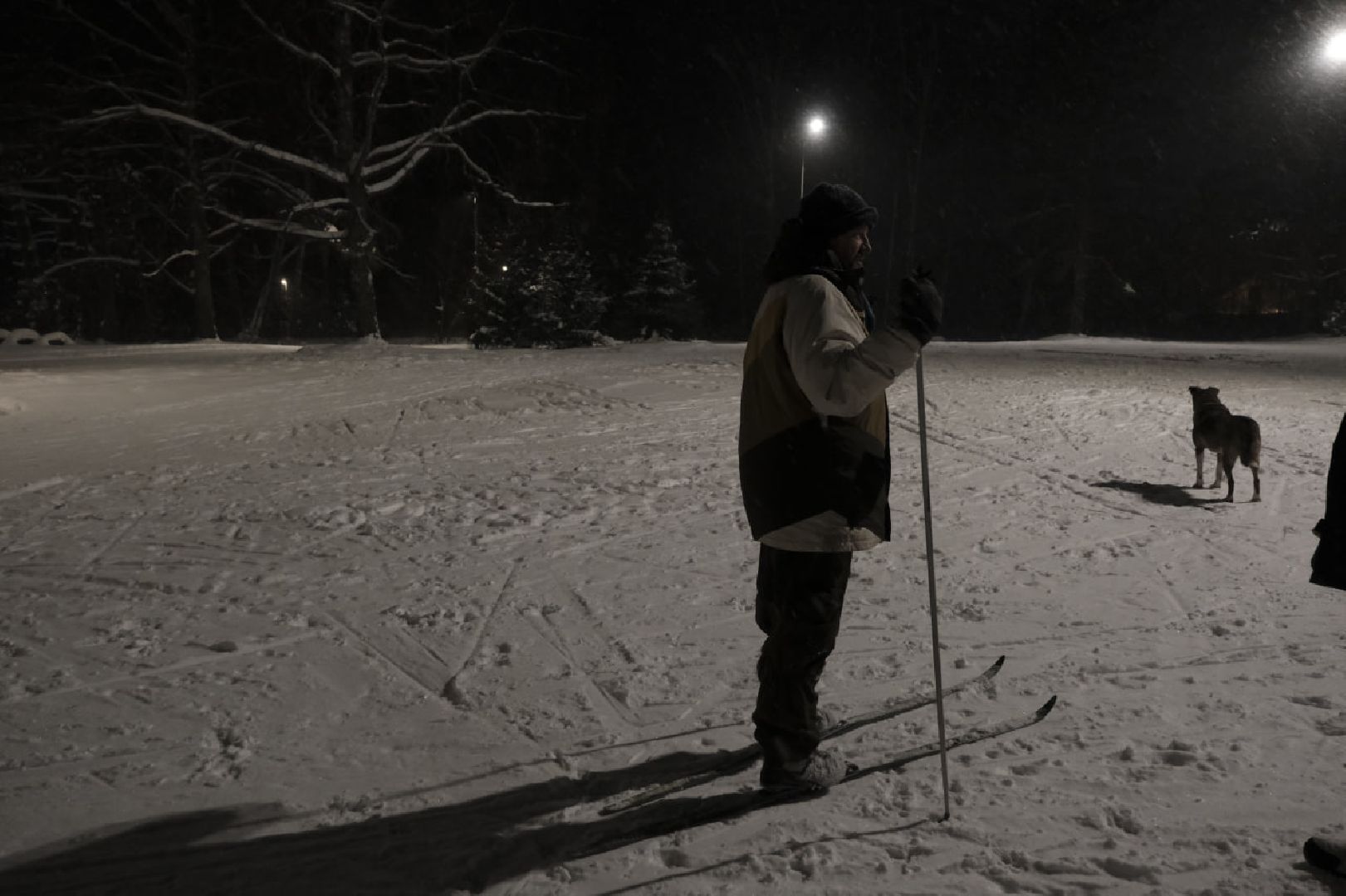 пущино, серпухов, зима в подмосковье,