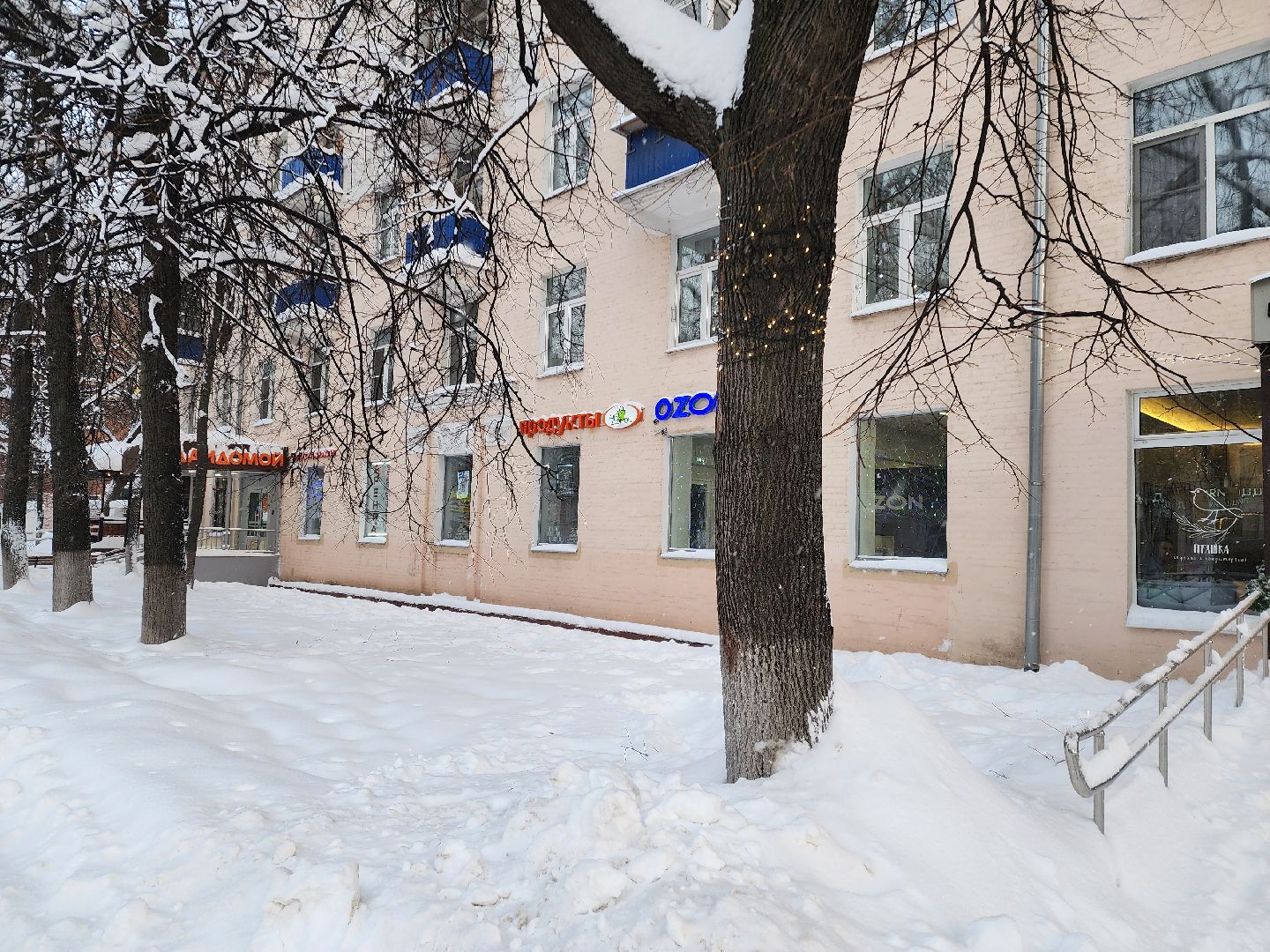 Химки, Подмосковье, снег, зима, холода,