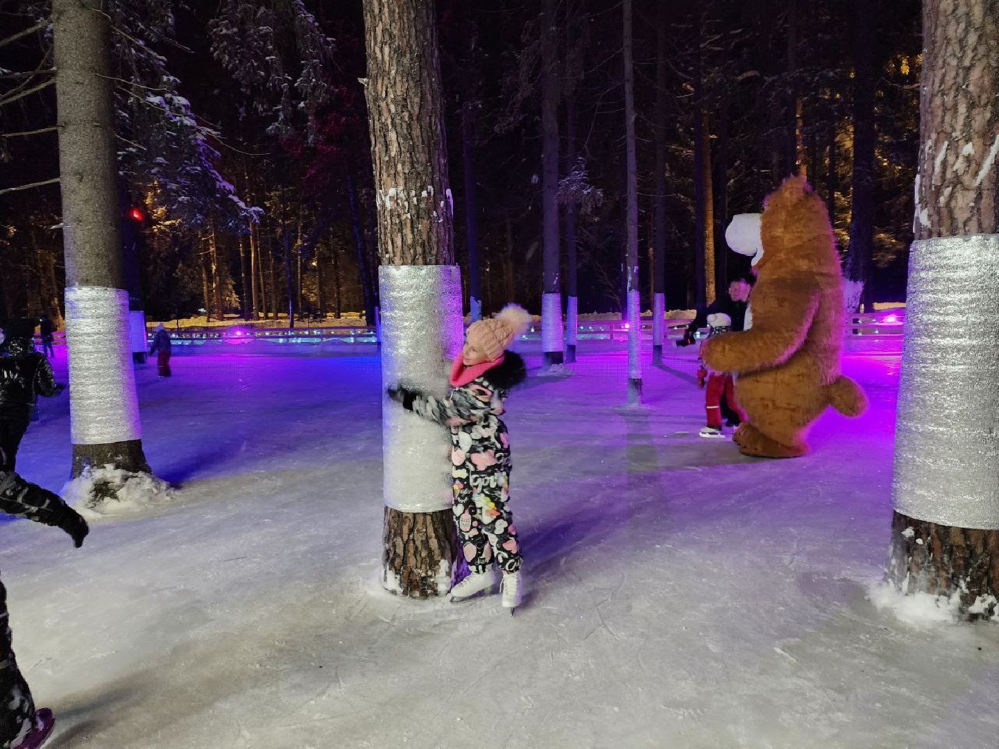 мытищи, лесопарк, каток, михаил девятьяров, Олимпийские игры, Олимпиада 1988, бесплатный каток,