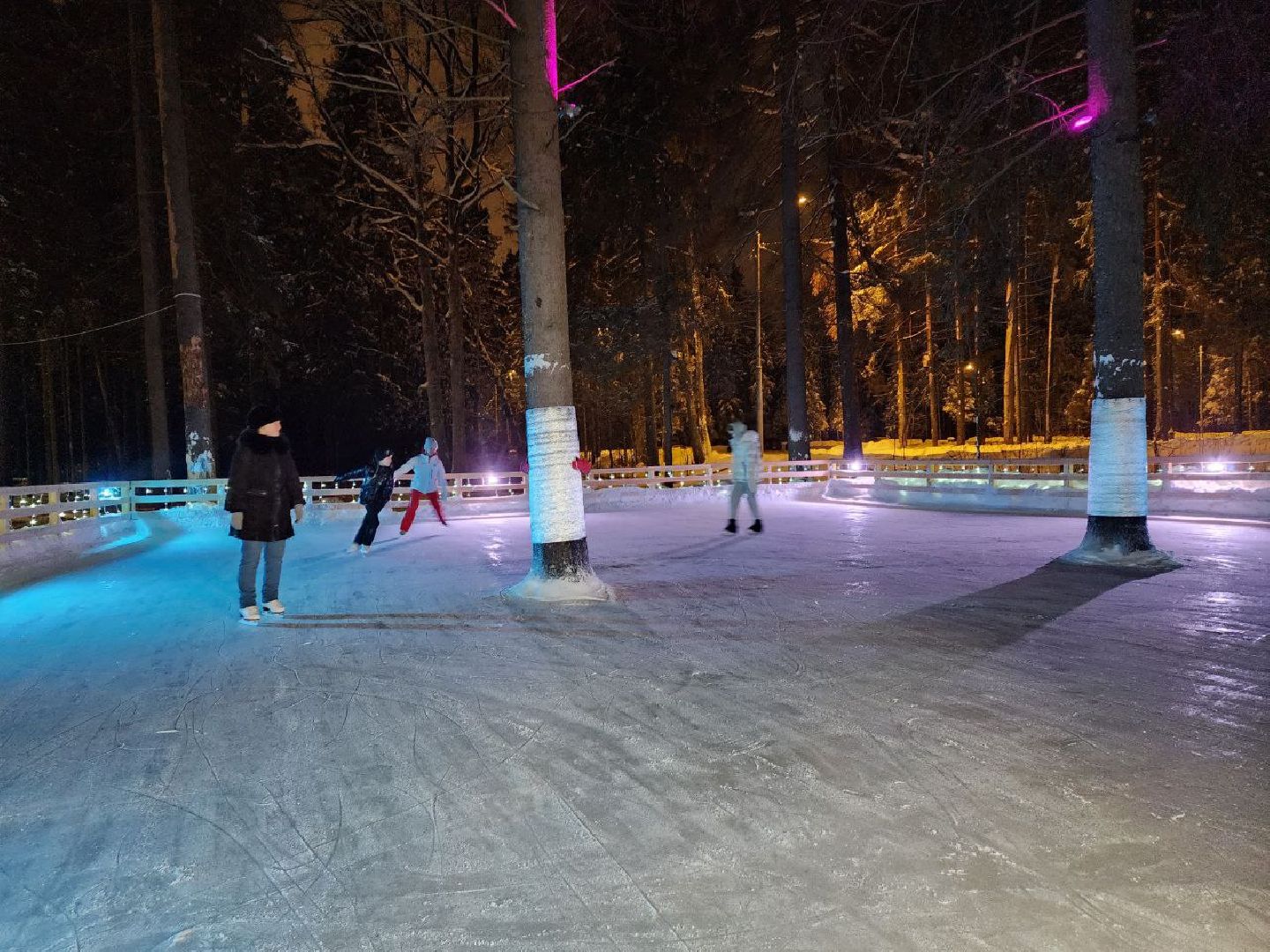 мытищи, лесопарк, каток, михаил девятьяров, Олимпийские игры, Олимпиада 1988, бесплатный каток,