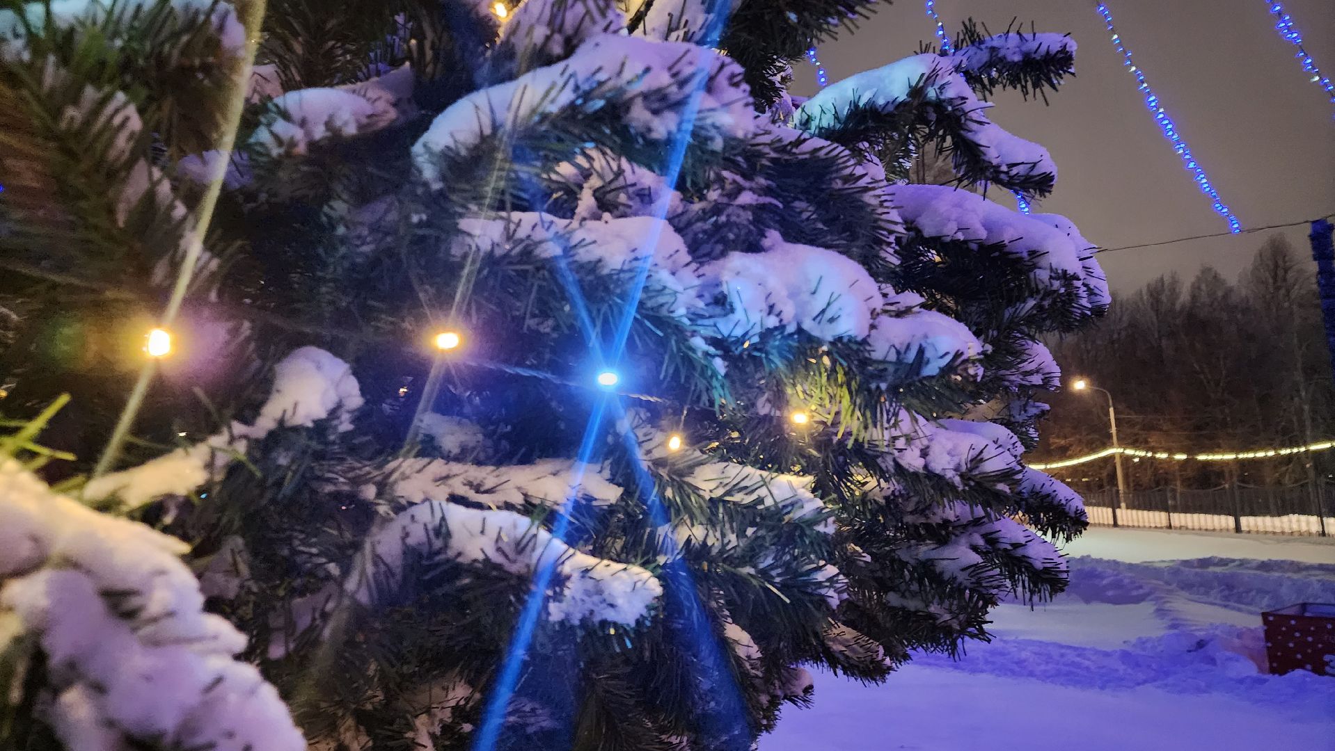 кашира, новый год, новогодняя елка, праздничные гуляния, каток, иллюминация, стадион энергетик,