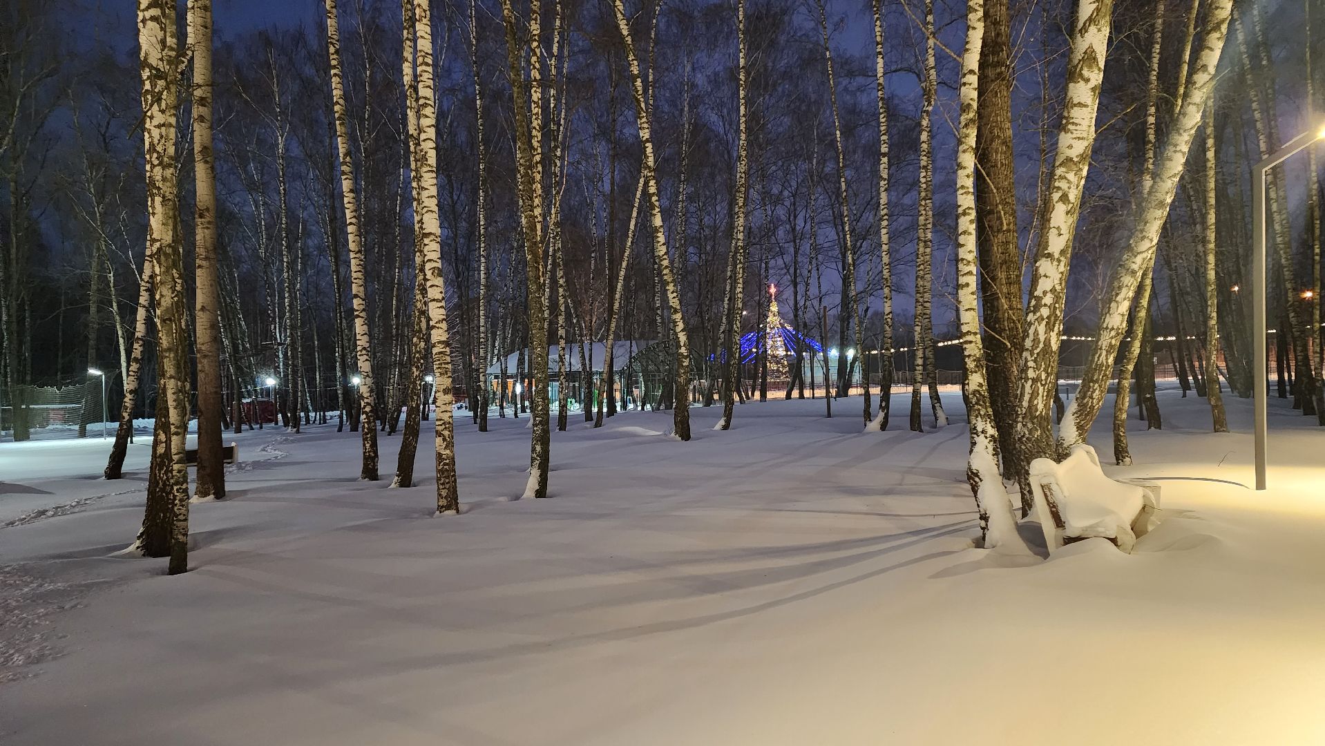 кашира, новый год, новогодняя елка, праздничные гуляния, каток, иллюминация, стадион энергетик,