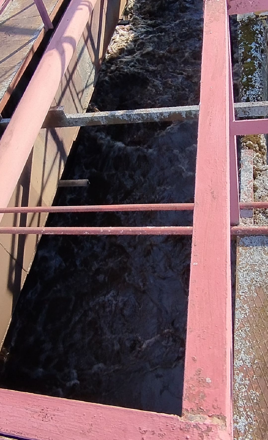 Паводок, Белоомут, ЖКХ