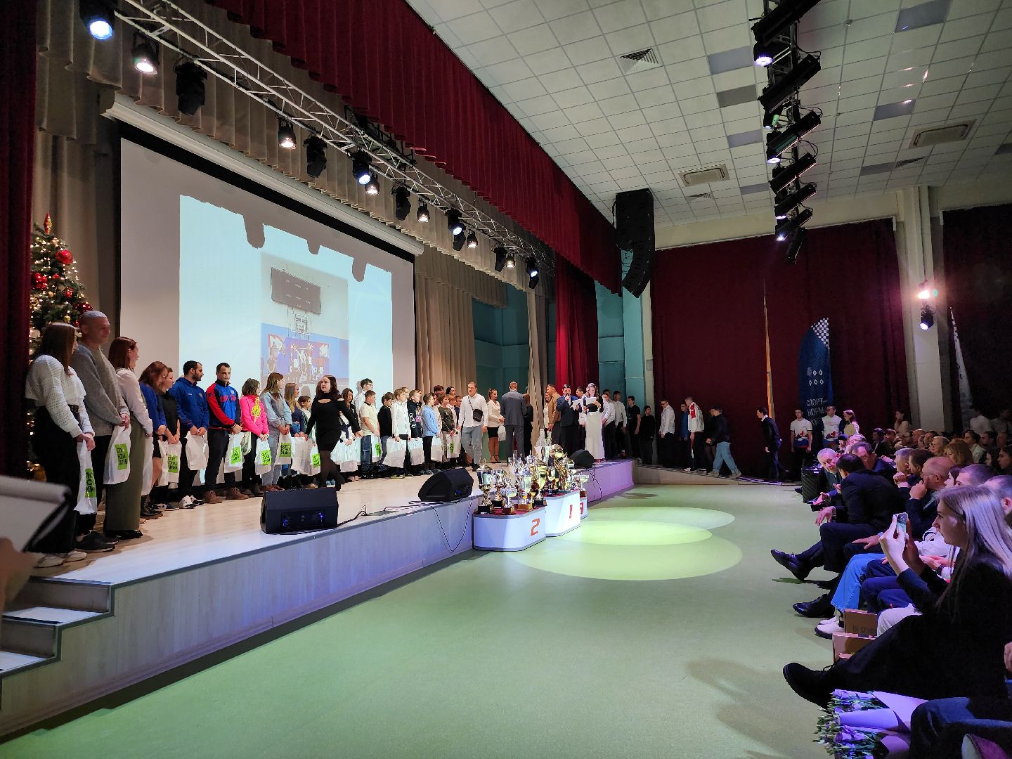 спорт, награждение, спортсмены, Ногинск, Богородский городской округ,