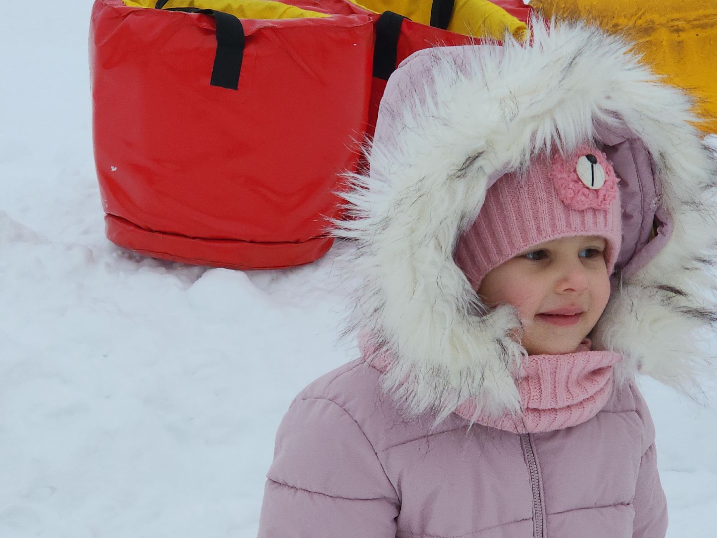 коломна, общество дети, новый год,