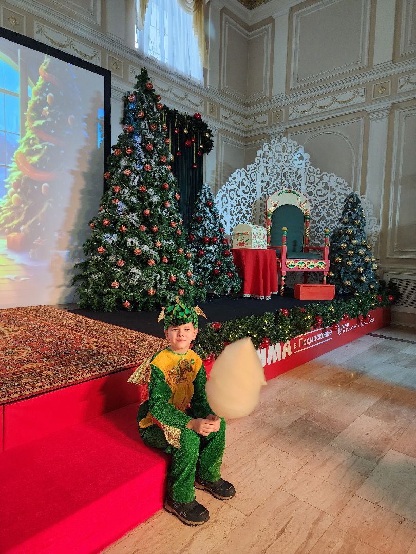 серпухов, подмосковье, резиденция деда мороза, зима в подмосковье, парк,