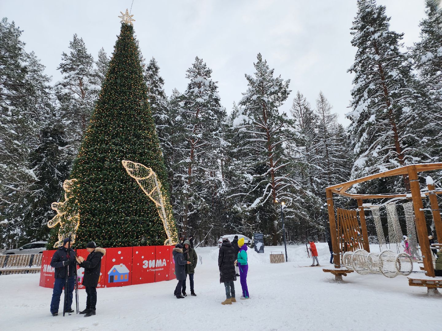 Лес, Парк, Лыжи, лыжная трасса, соревнования, зажжение елки,