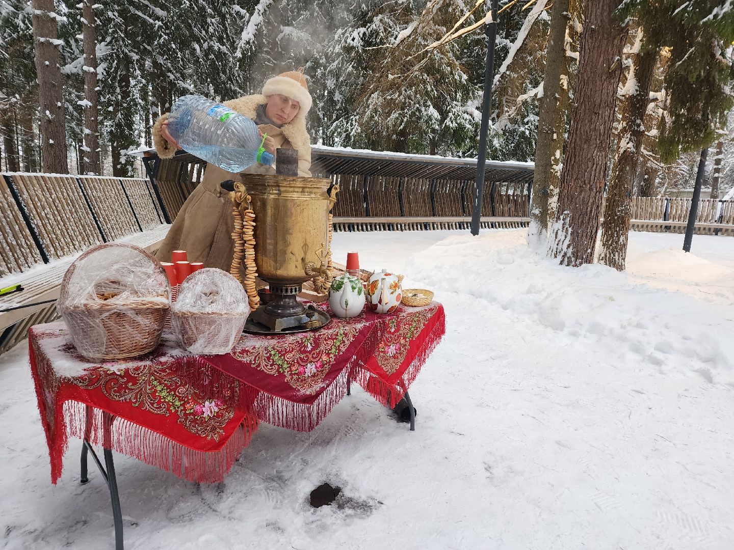 Лес, Парк, Лыжи, лыжная трасса, соревнования, зажжение елки,