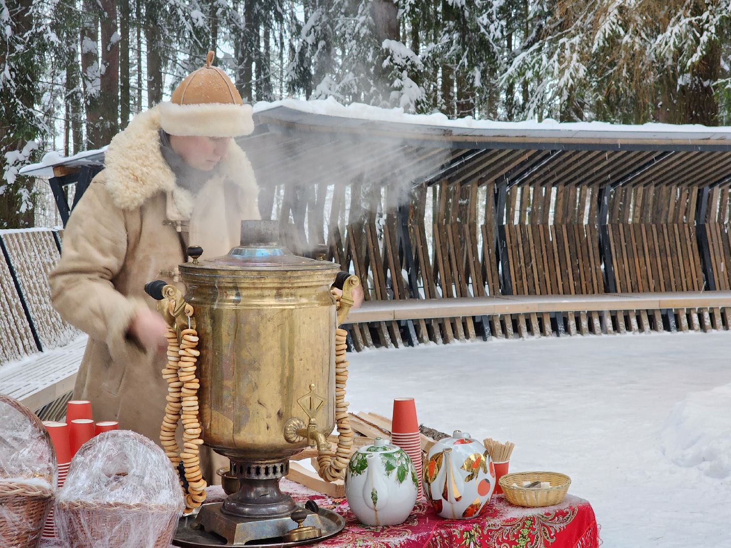Лес, Парк, Лыжи, лыжная трасса, соревнования, зажжение елки,