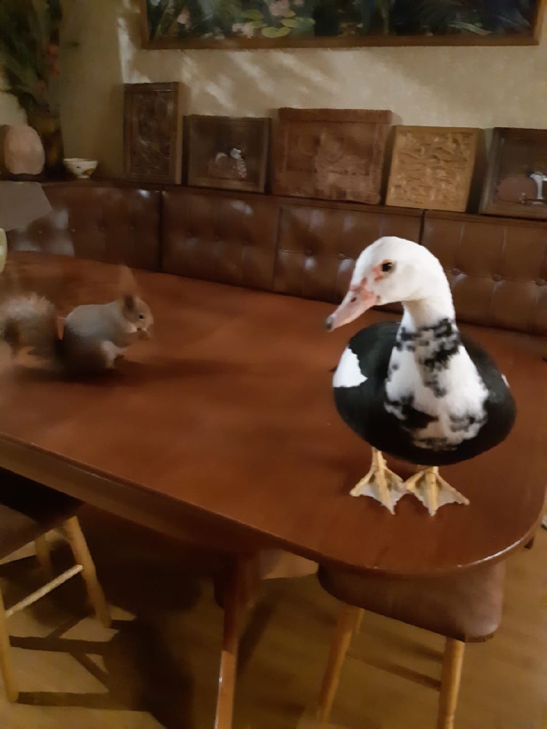 Одинцово, общество