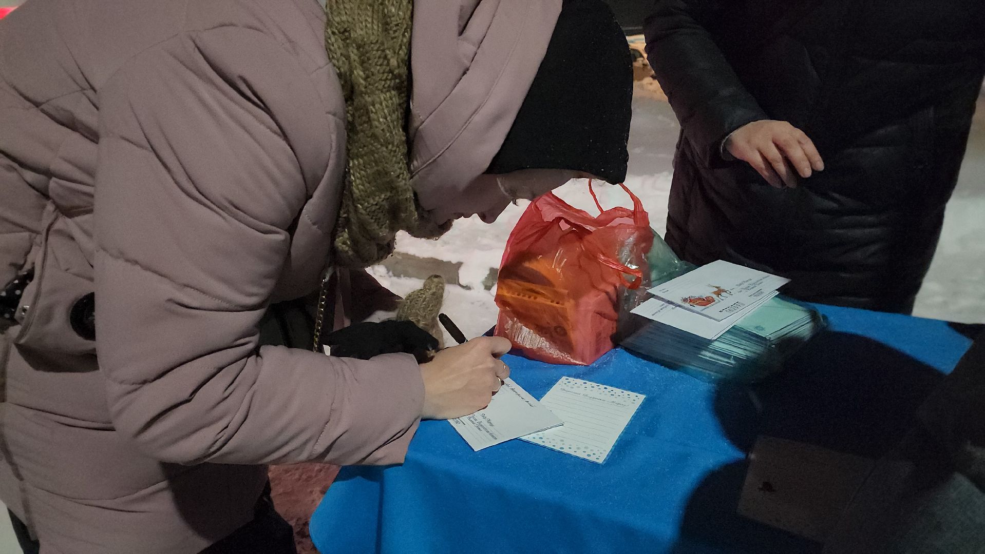 шатура, резиденция деда мороза, почта деда мороза, новый год, 2024, праздник, новогодняя елка,