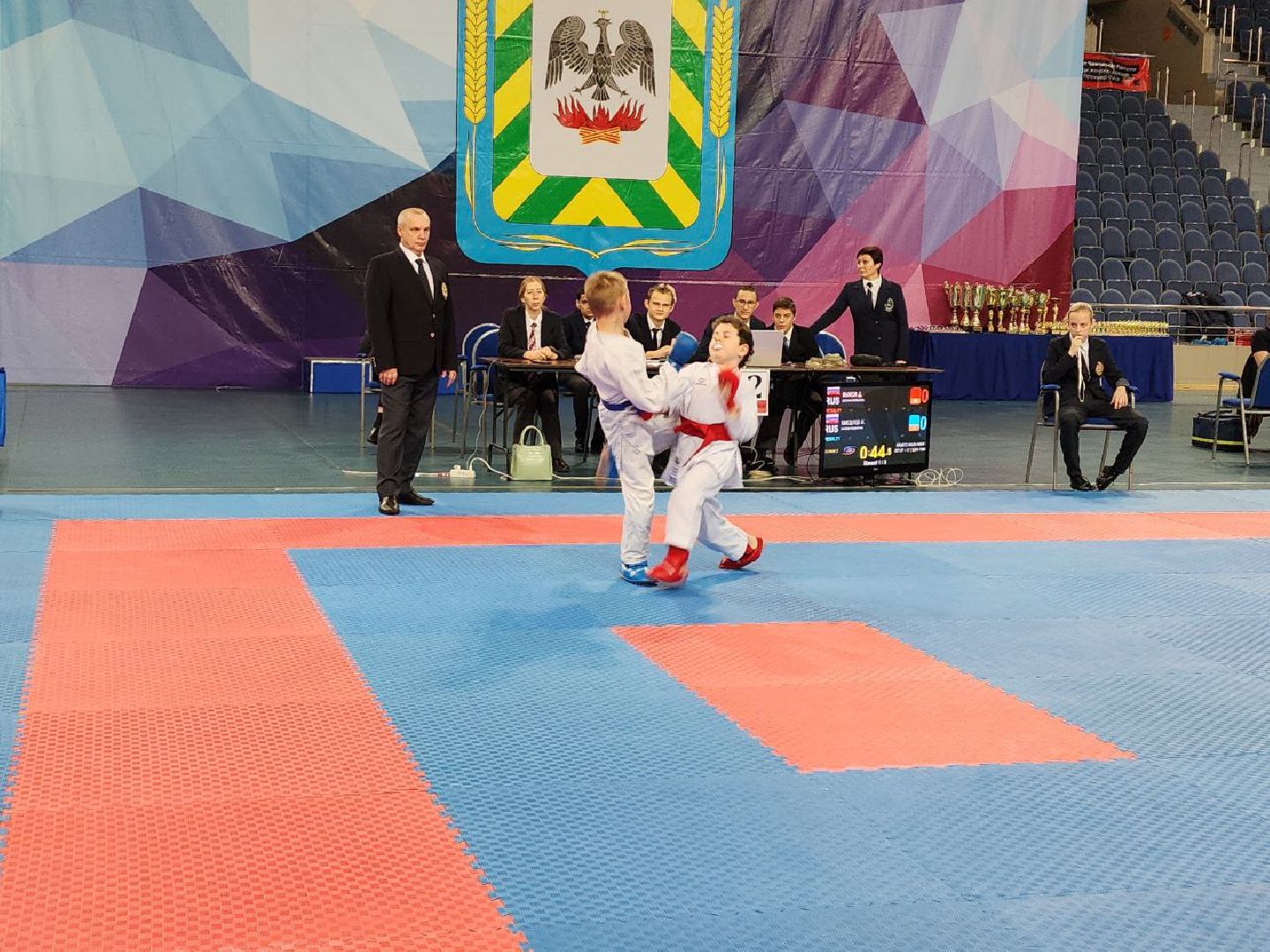 карате, спорт подмосковья, сила воли, первенство, видное,