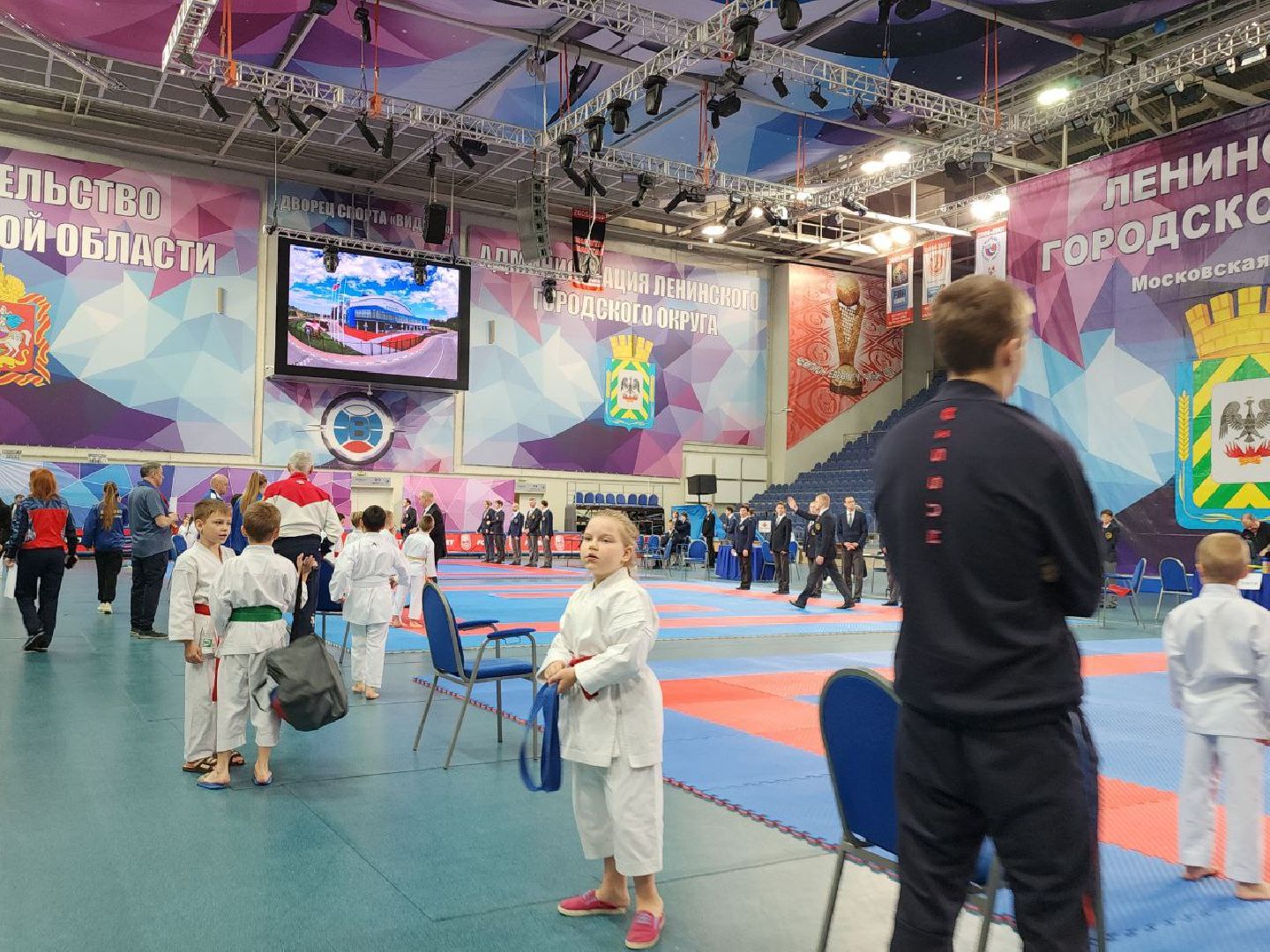 карате, спорт подмосковья, сила воли, первенство, видное,