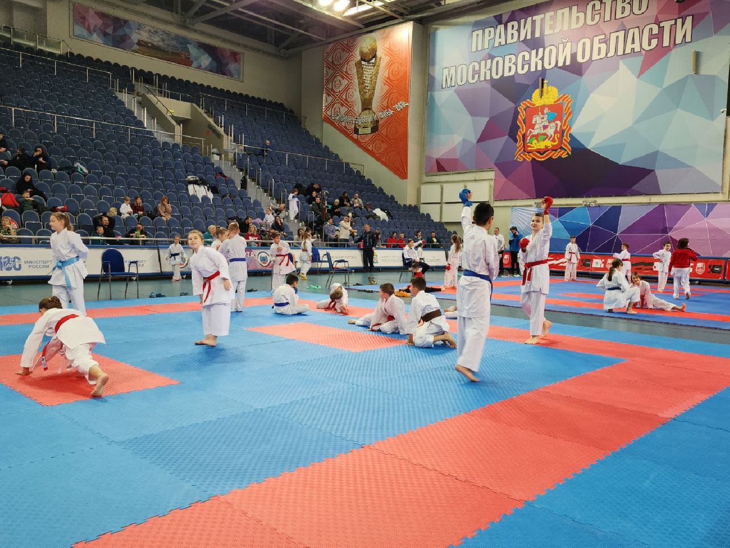 карате, спорт подмосковья, сила воли, первенство, видное,