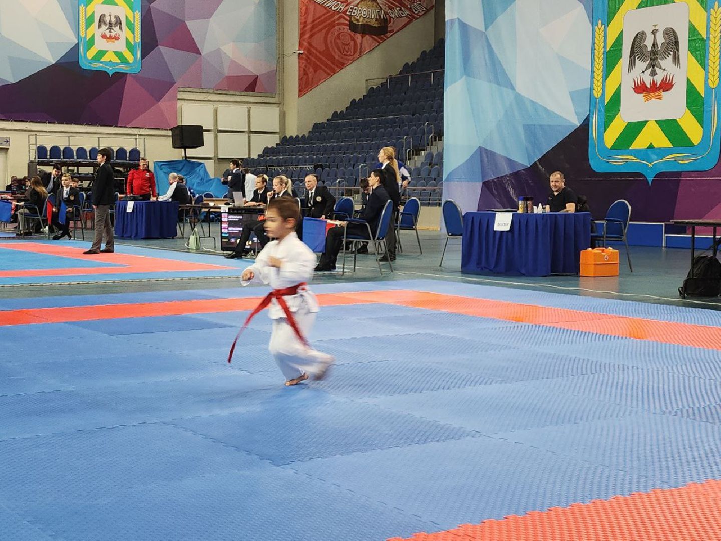 карате, спорт подмосковья, сила воли, первенство, видное,