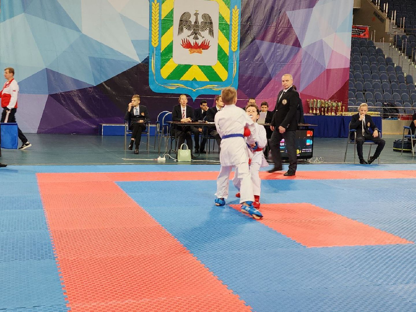 карате, спорт подмосковья, сила воли, первенство, видное,