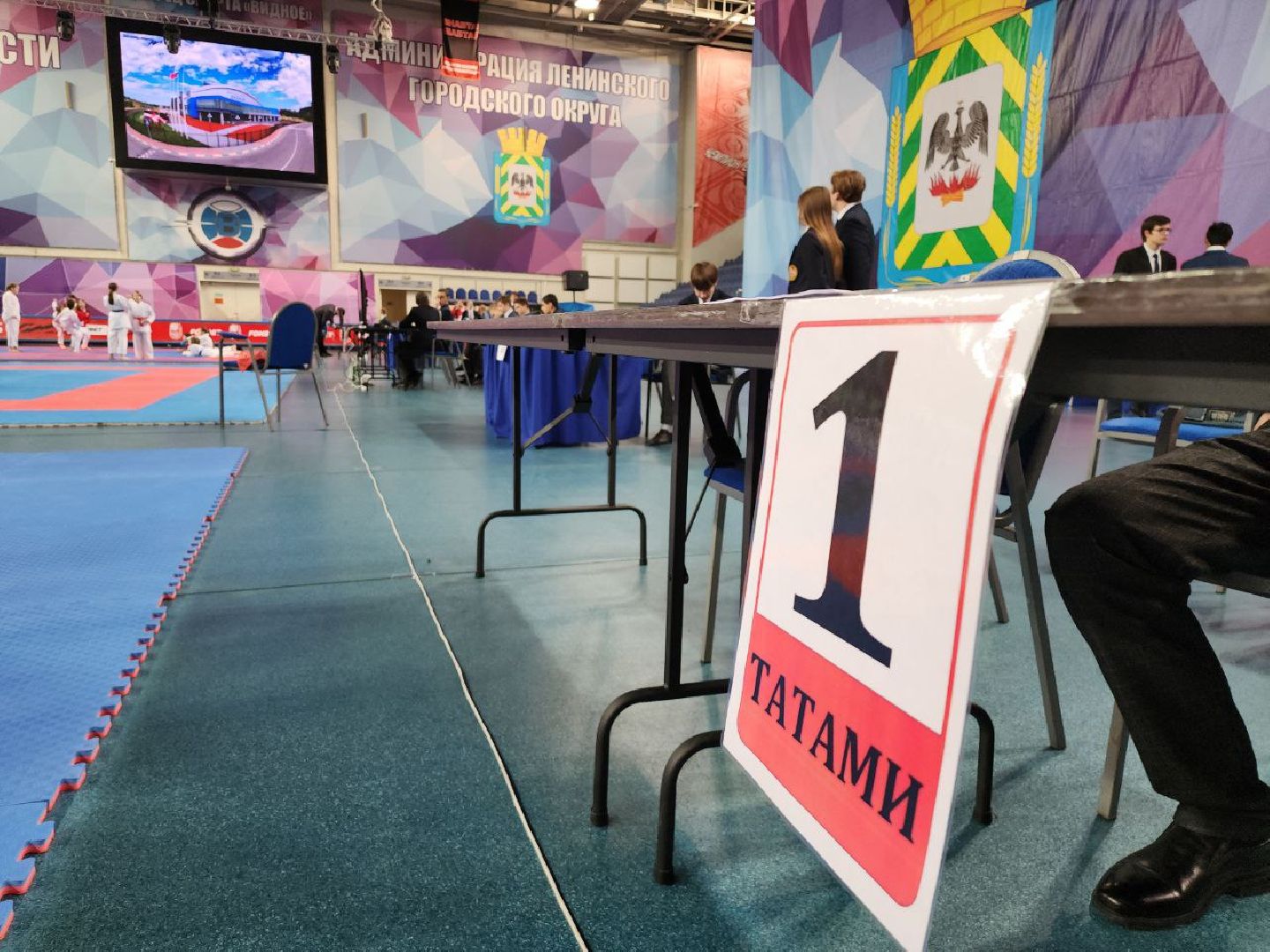 карате, спорт подмосковья, сила воли, первенство, видное,