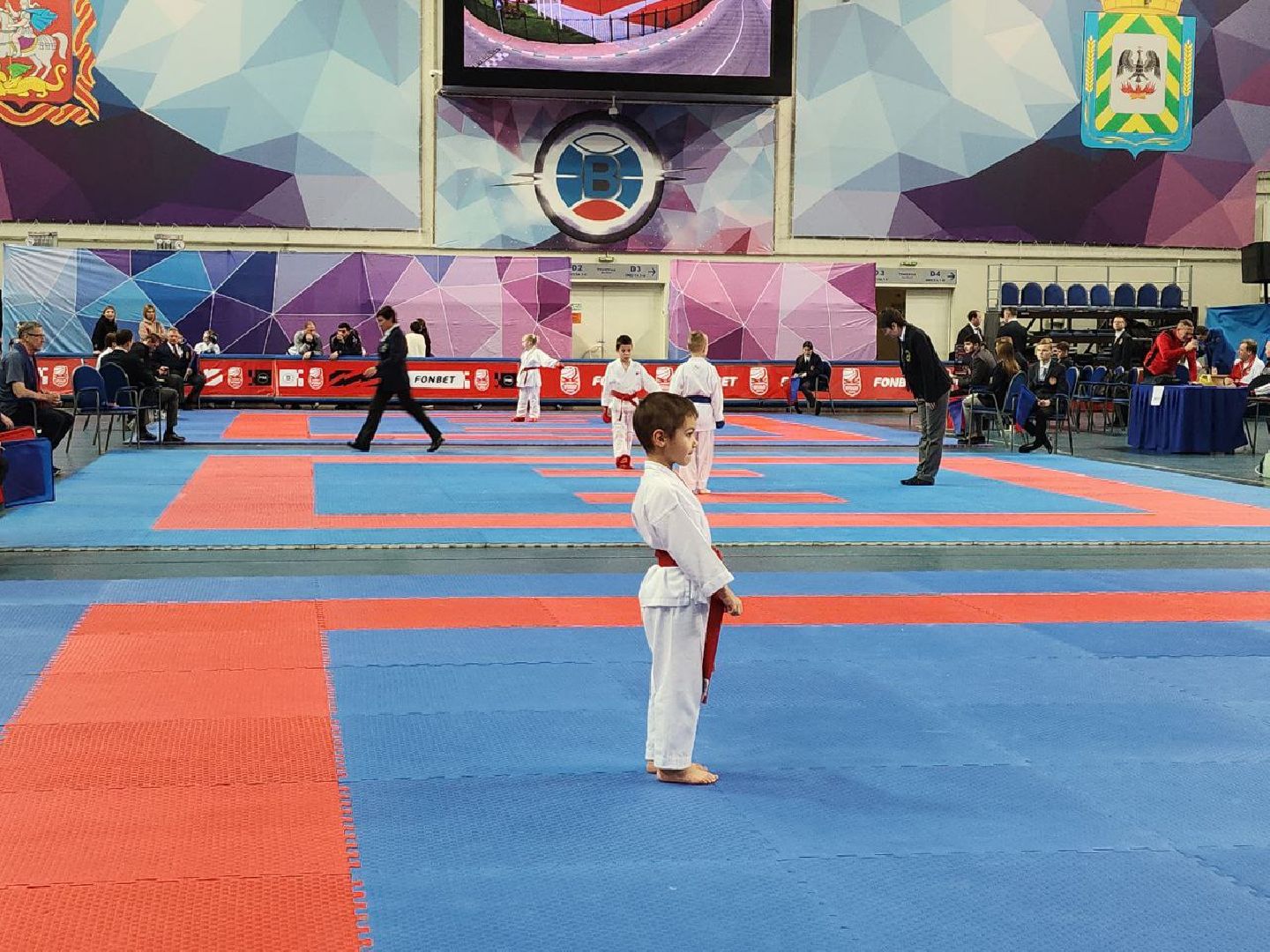 карате, спорт подмосковья, сила воли, первенство, видное,
