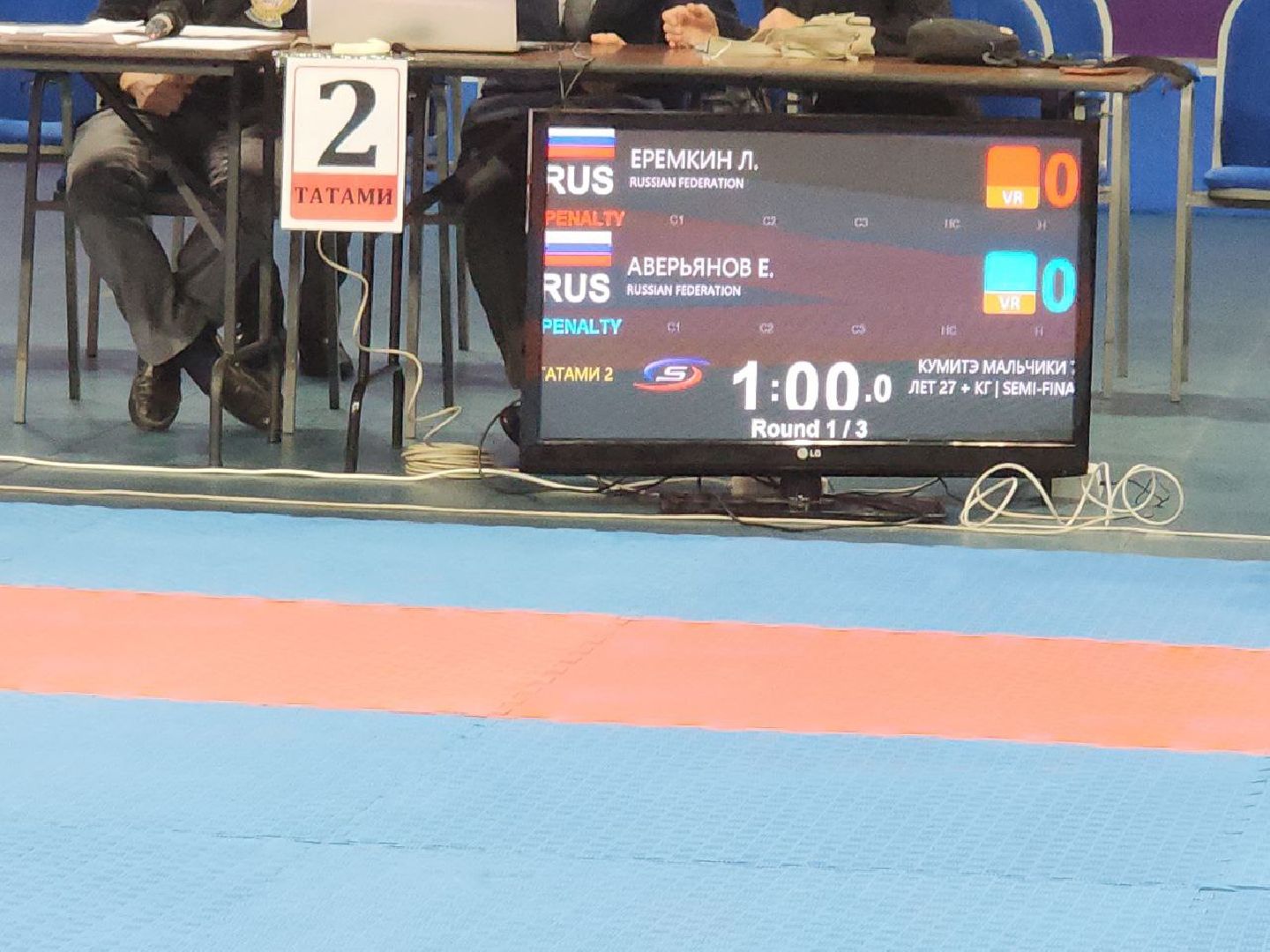 карате, спорт подмосковья, сила воли, первенство, видное,