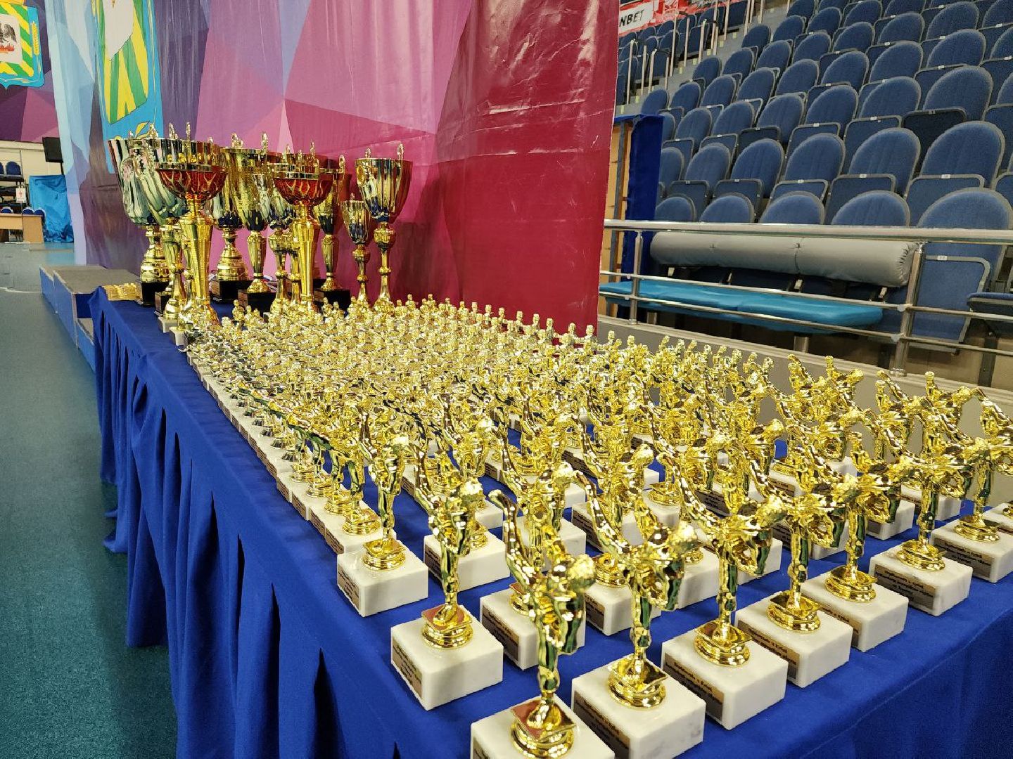 карате, спорт подмосковья, сила воли, первенство, видное,