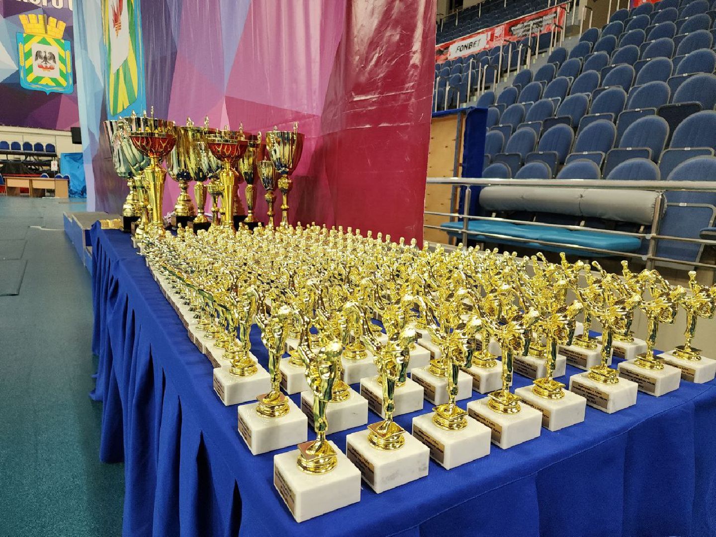 карате, спорт подмосковья, сила воли, первенство, видное,