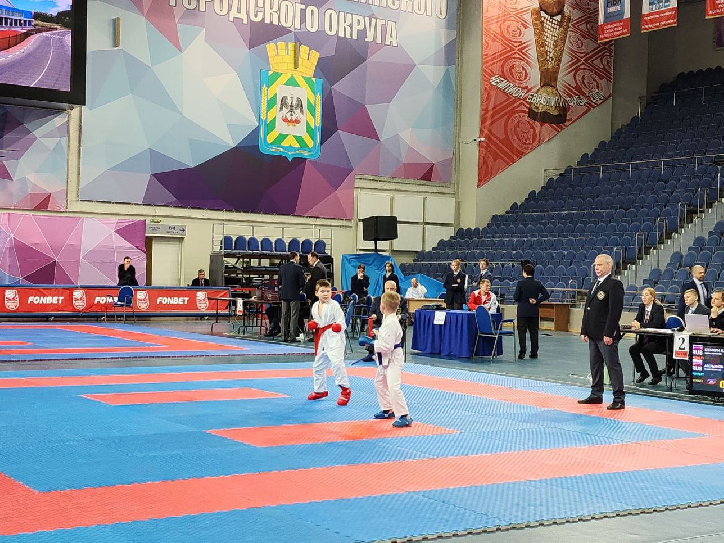 карате, спорт подмосковья, сила воли, первенство, видное,