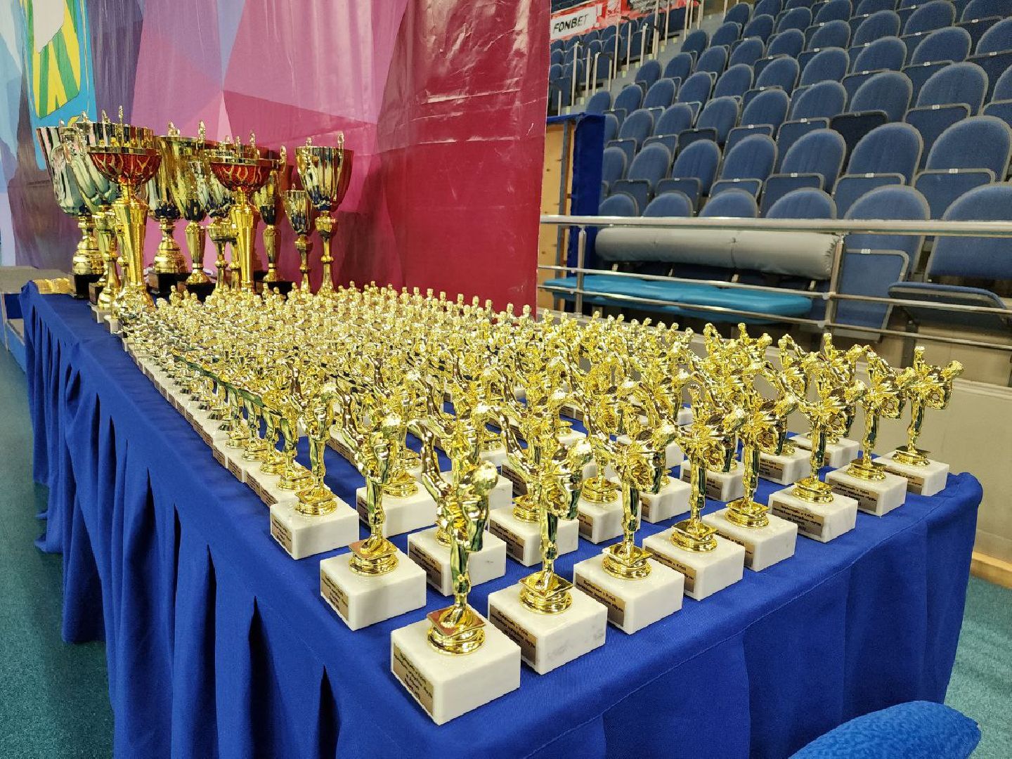 карате, спорт подмосковья, сила воли, первенство, видное,