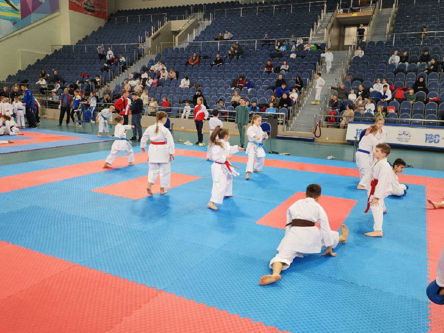 карате, спорт подмосковья, сила воли, первенство, видное,