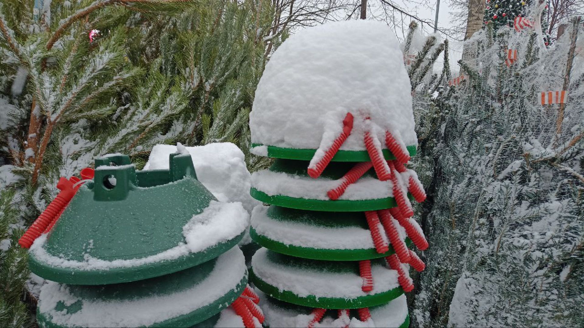 Реутов, базар, елки, новый год, символ года, лесная красавица,