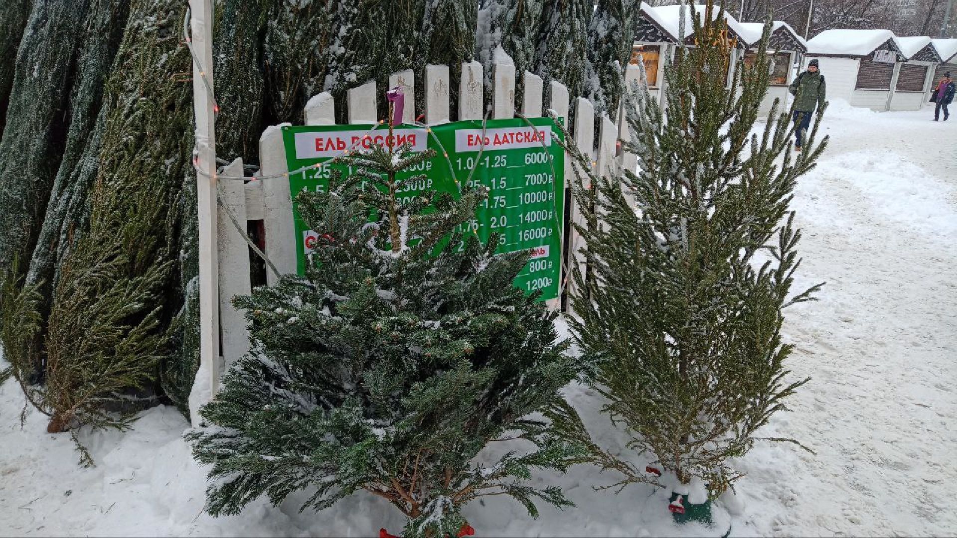 Реутов, базар, елки, новый год, символ года, лесная красавица,