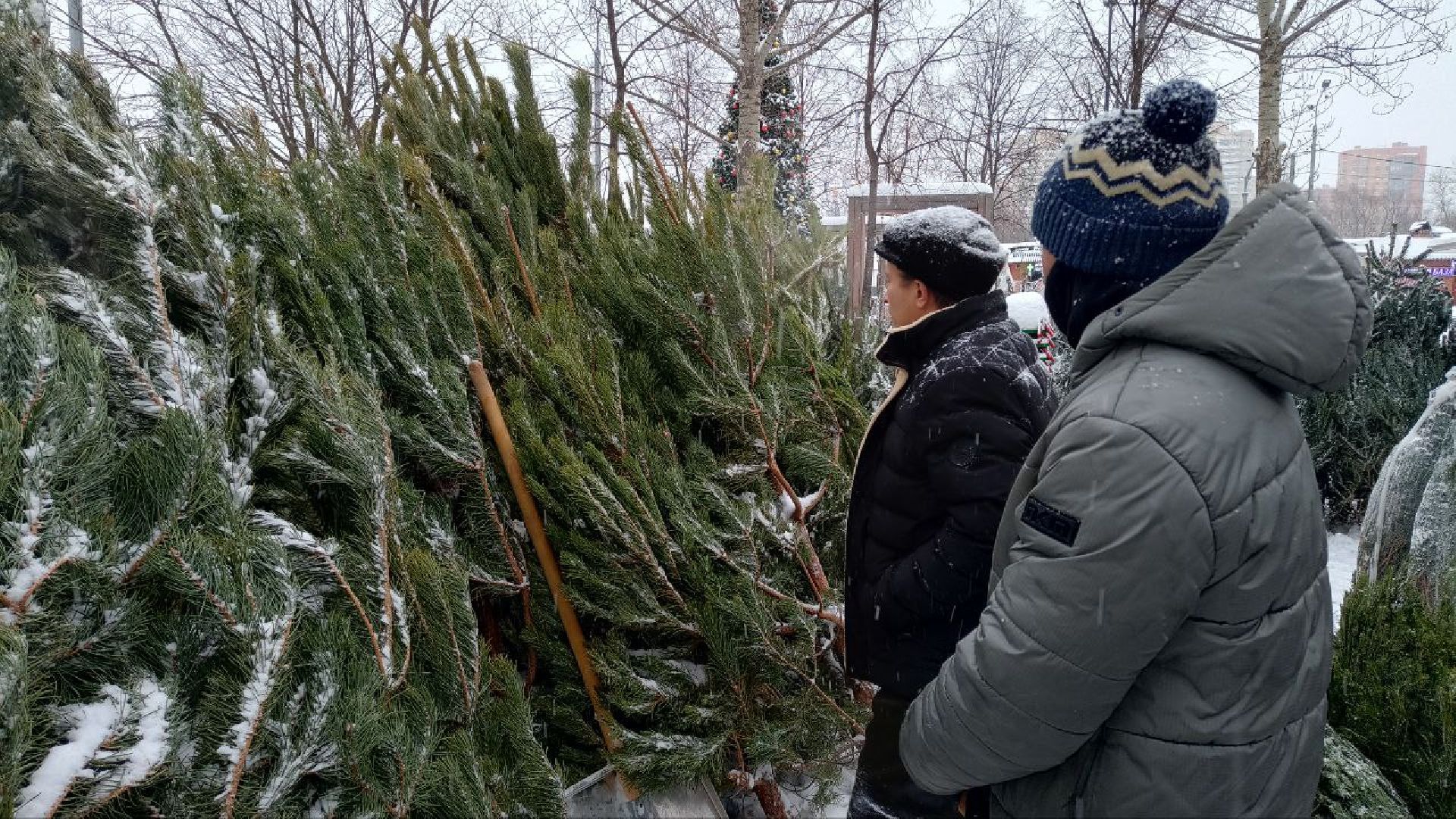 Реутов, базар, елки, новый год, символ года, лесная красавица,