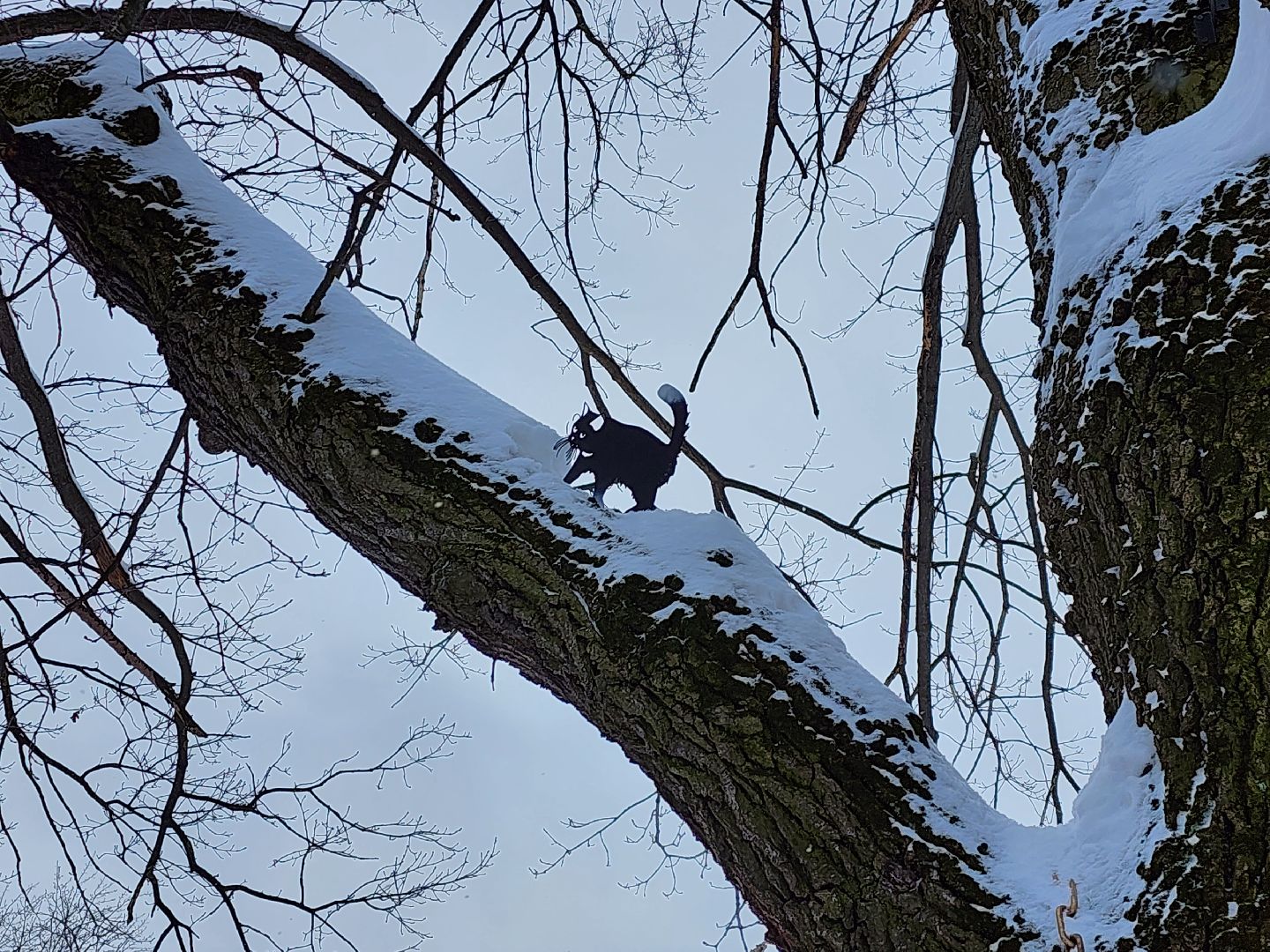 серпухов, подмосковье, арт-объект, парк имени олега степанова,