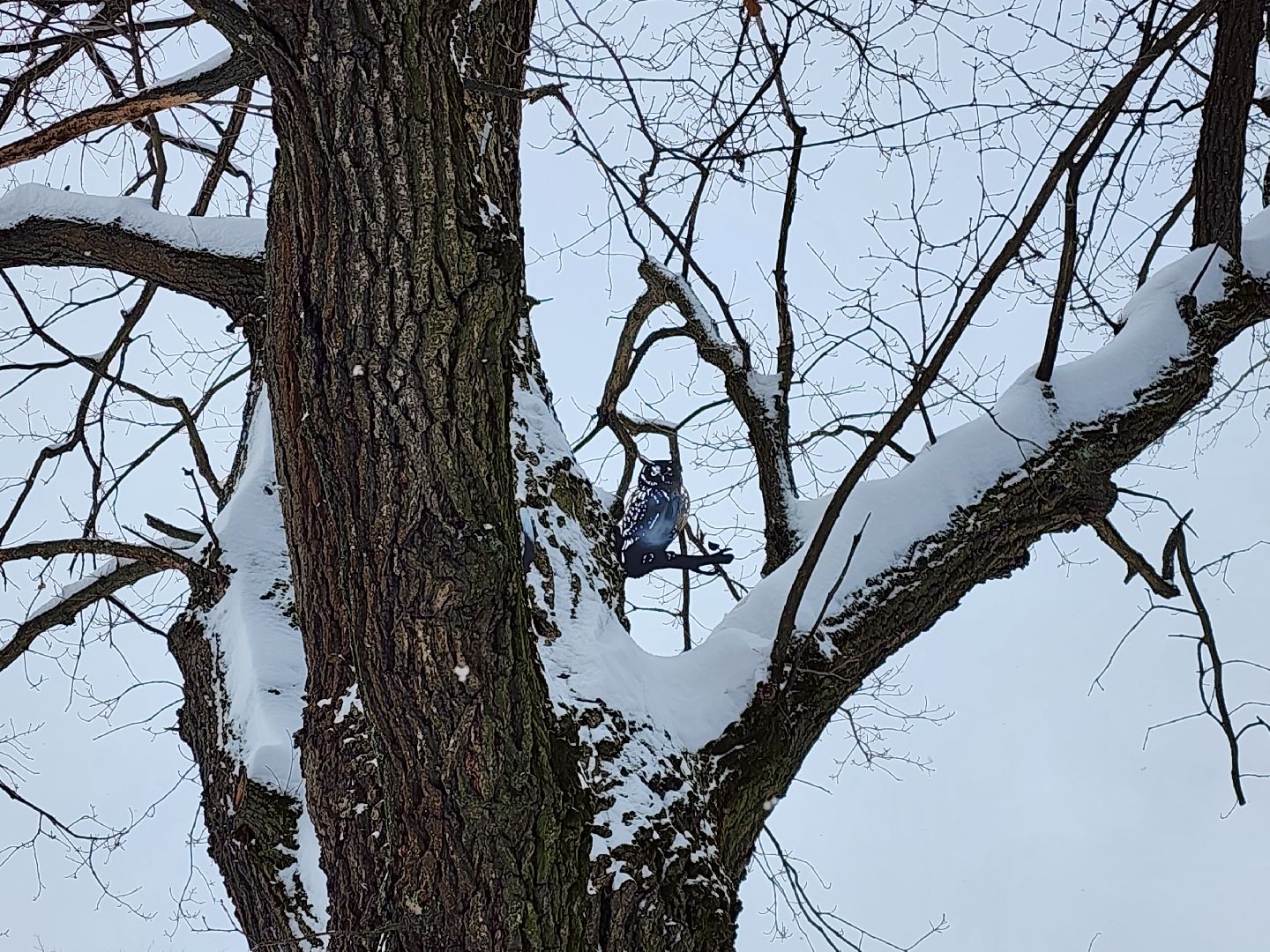 серпухов, подмосковье, арт-объект, парк имени олега степанова,