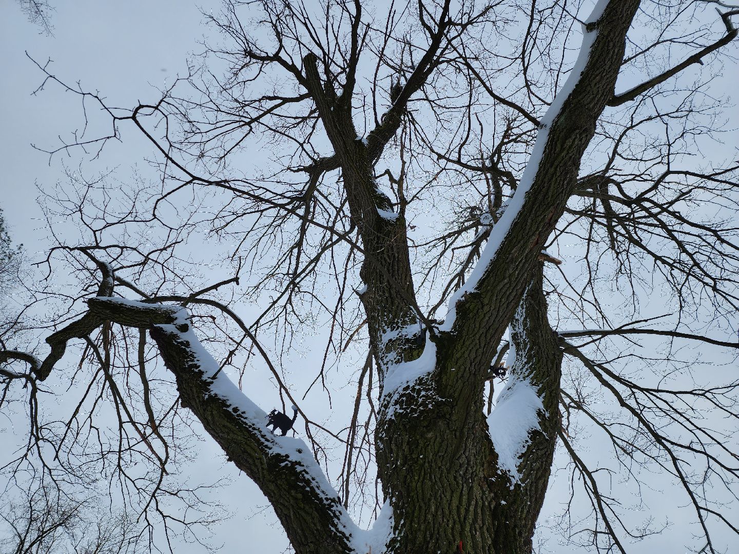 серпухов, подмосковье, арт-объект, парк имени олега степанова,