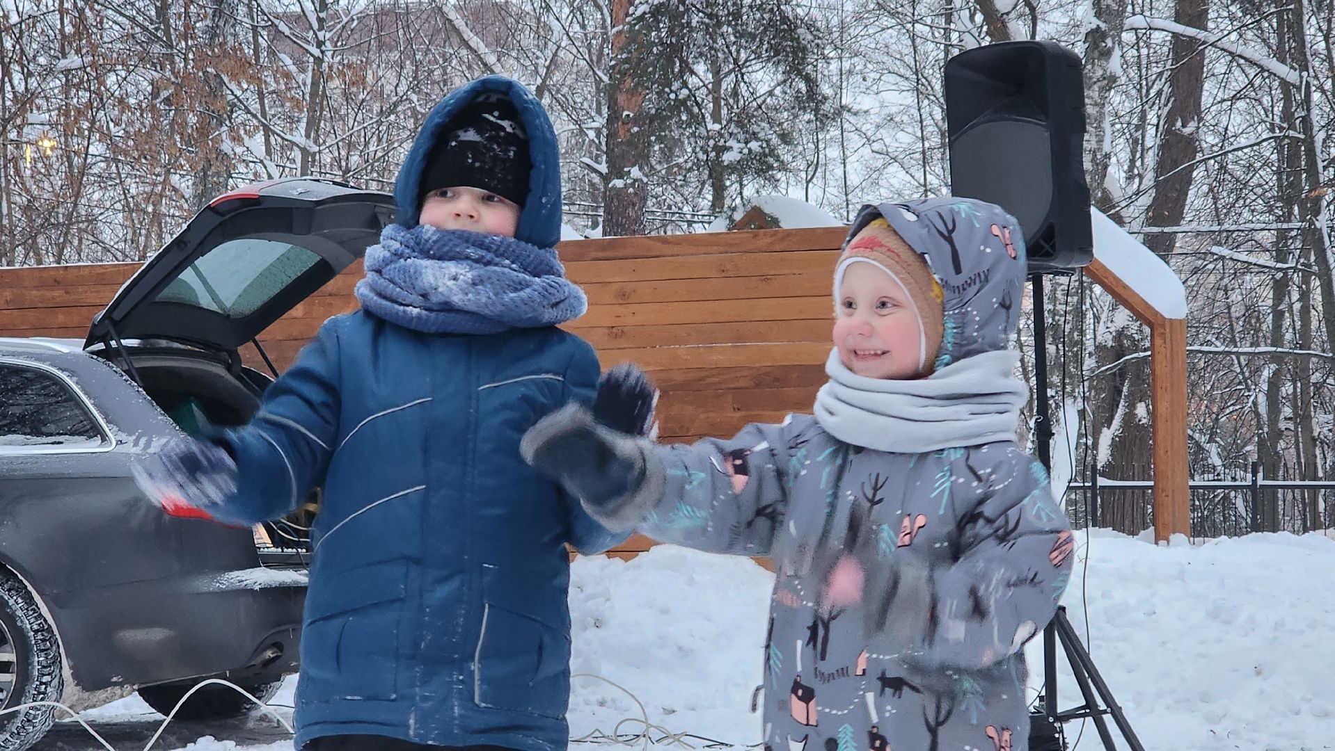 парки подмосковья, зима в Подмосковье, Свердловский парк, Лосино-Петровский, зажжение огней на елке,
