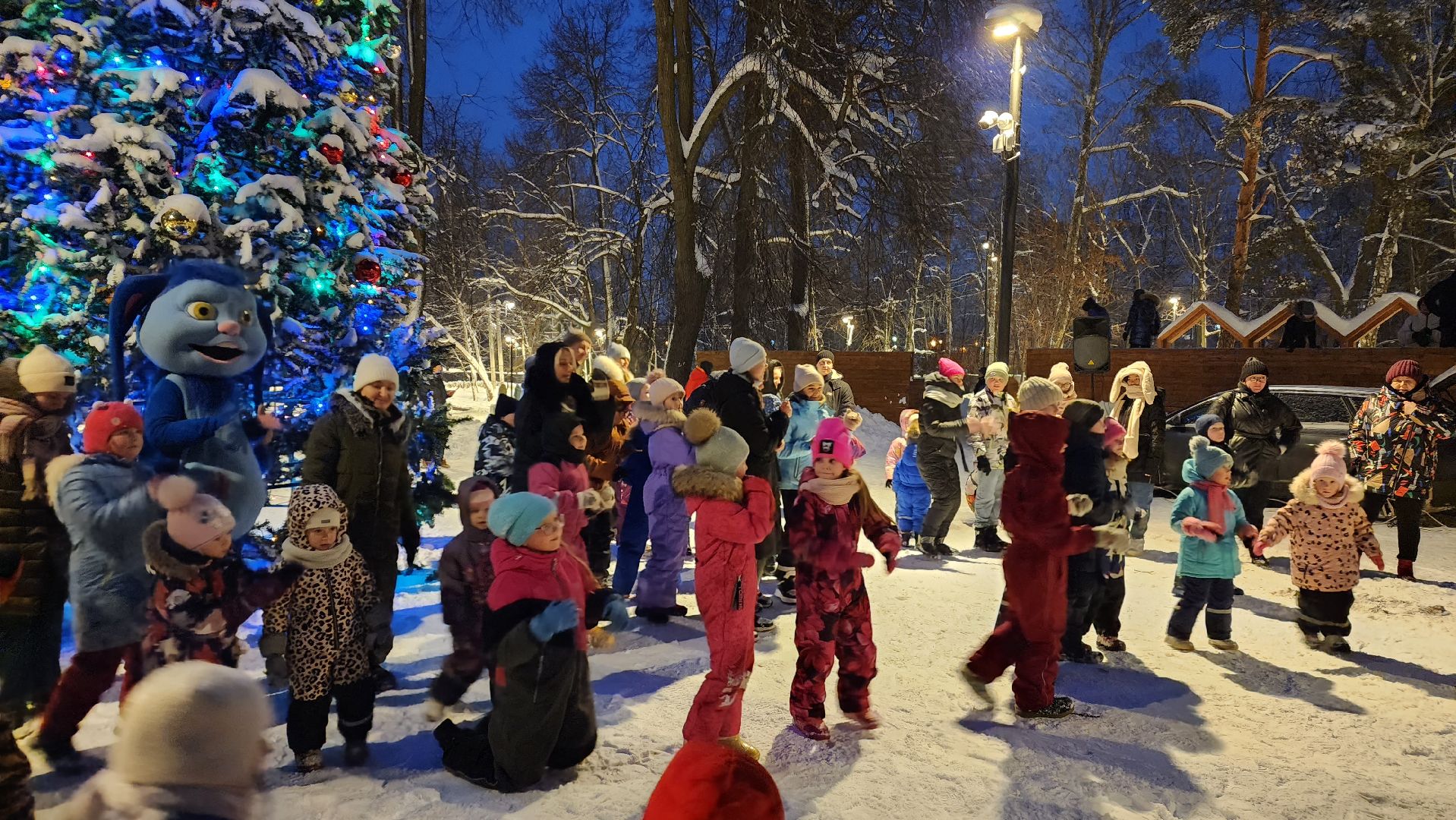 парки подмосковья, зима в Подмосковье, Свердловский парк, Лосино-Петровский, зажжение огней на елке,