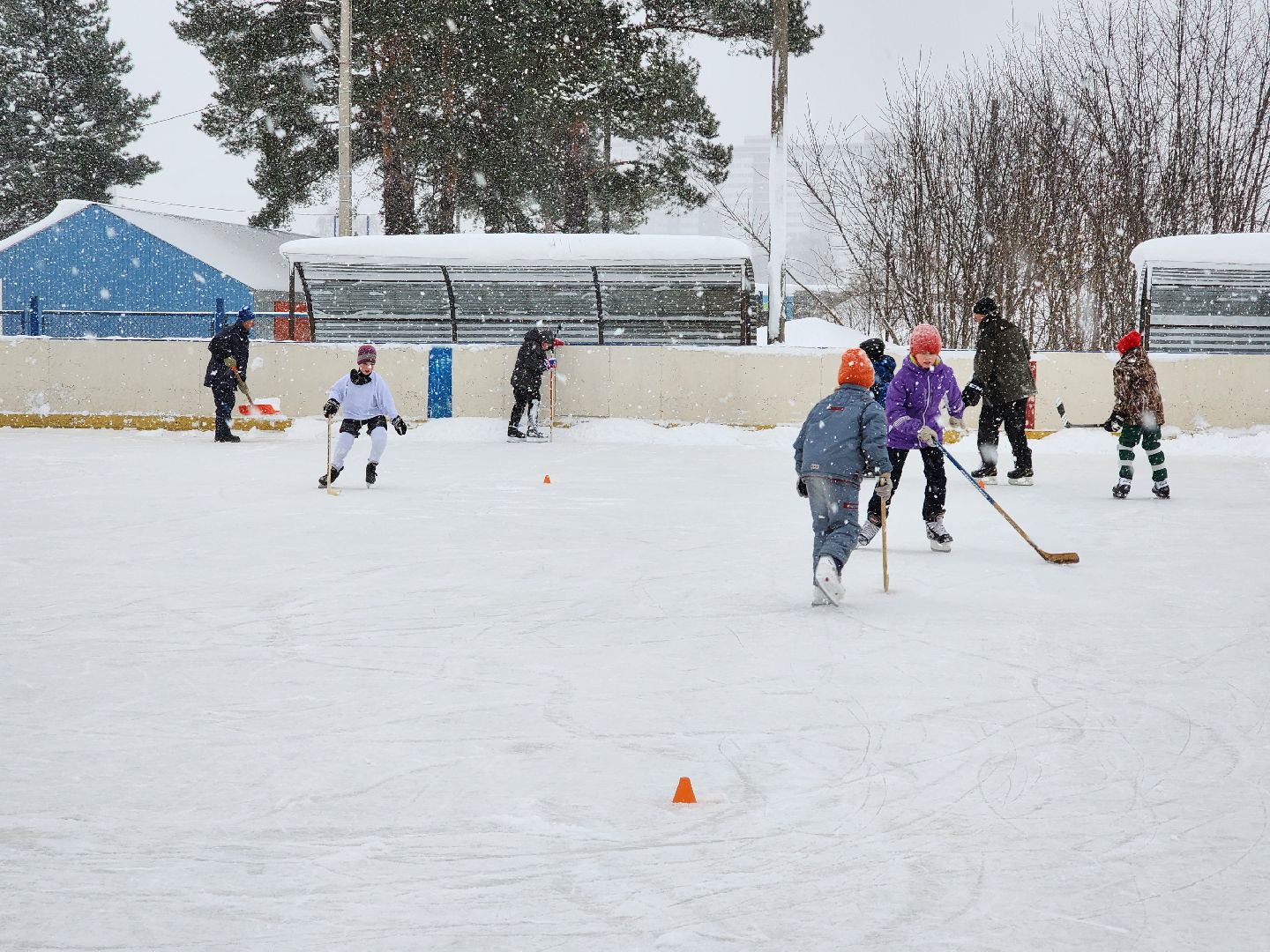 хоккей, спорт, секция, Старая Купавна, Богородский городской округ,