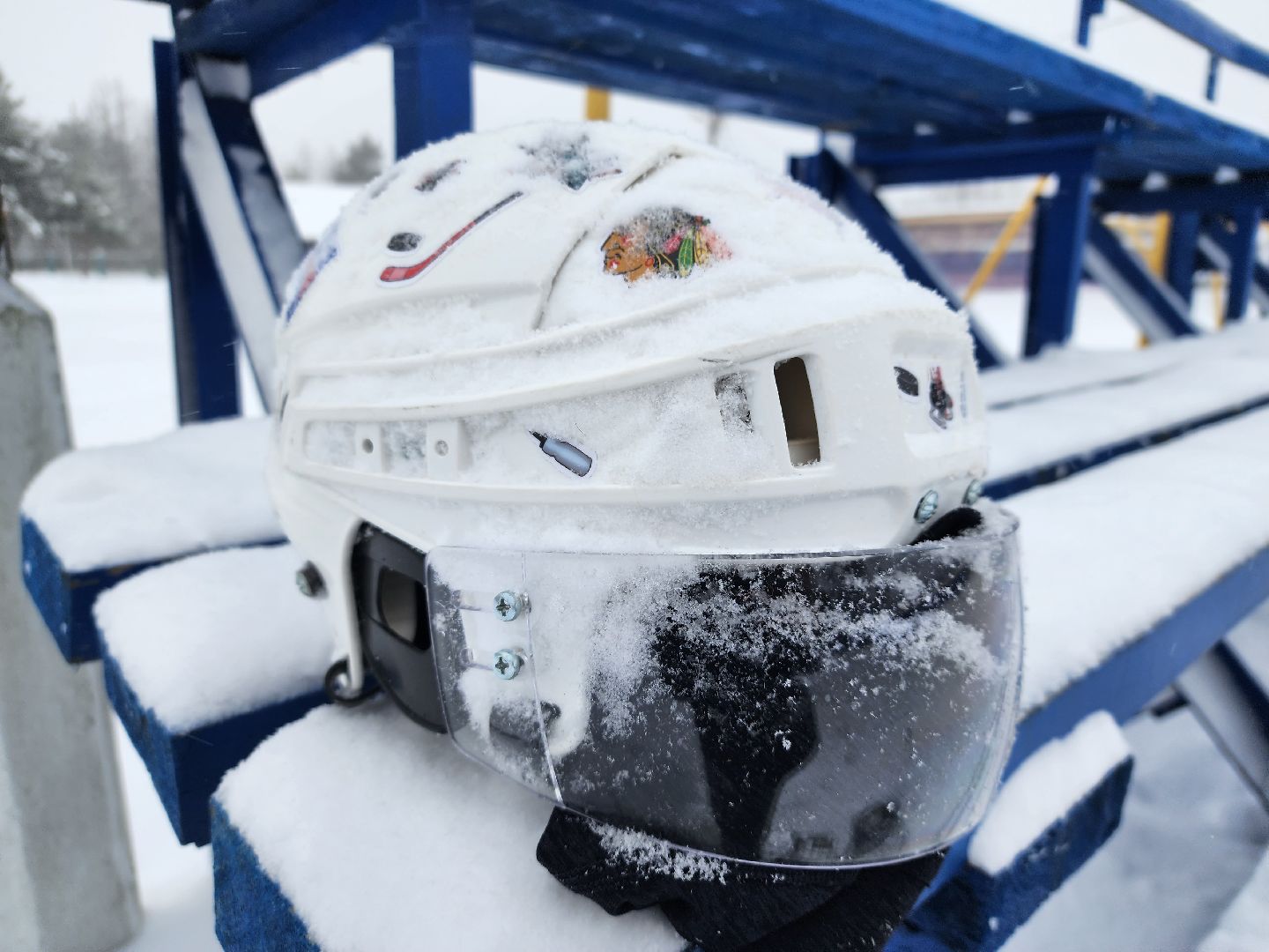 хоккей, спорт, секция, Старая Купавна, Богородский городской округ,