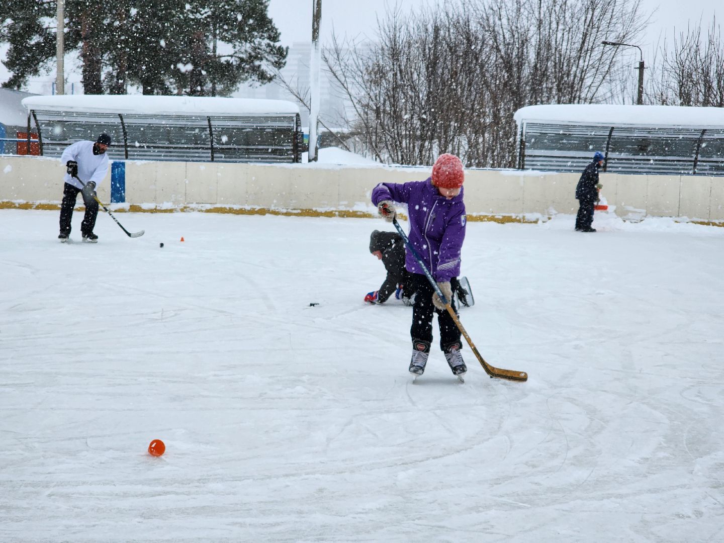 хоккей, спорт, секция, Старая Купавна, Богородский городской округ,