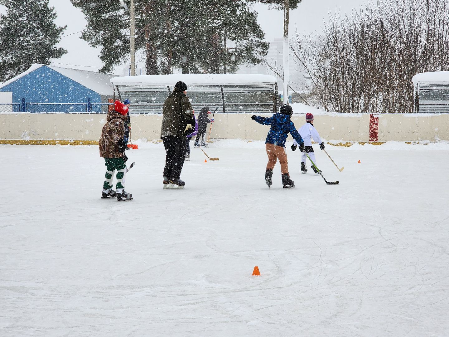хоккей, спорт, секция, Старая Купавна, Богородский городской округ,
