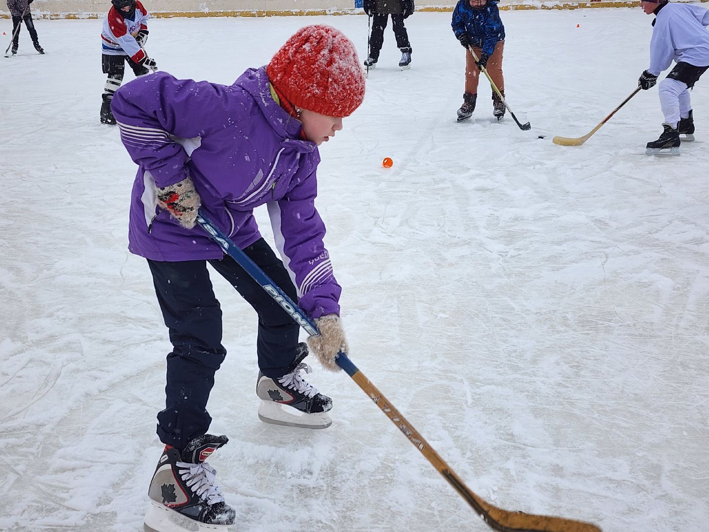 хоккей, спорт, секция, Старая Купавна, Богородский городской округ,