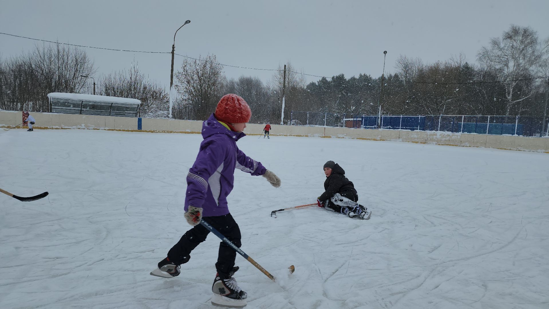 хоккей, спорт, секция, Старая Купавна, Богородский городской округ,