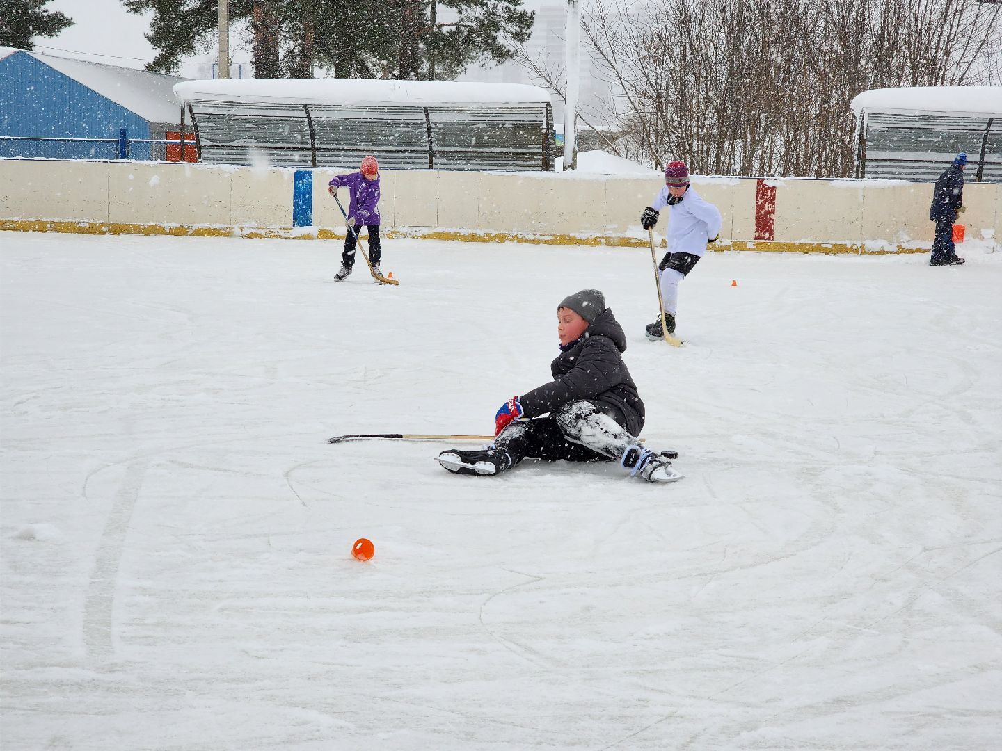 хоккей, спорт, секция, Старая Купавна, Богородский городской округ,