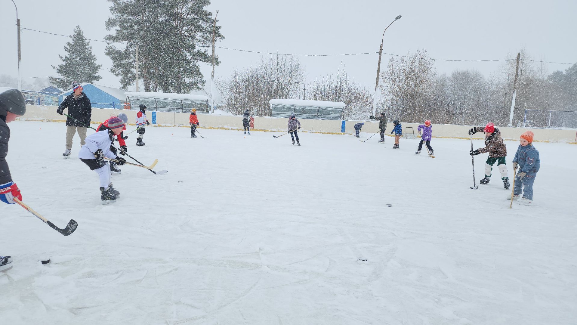 хоккей, спорт, секция, Старая Купавна, Богородский городской округ,