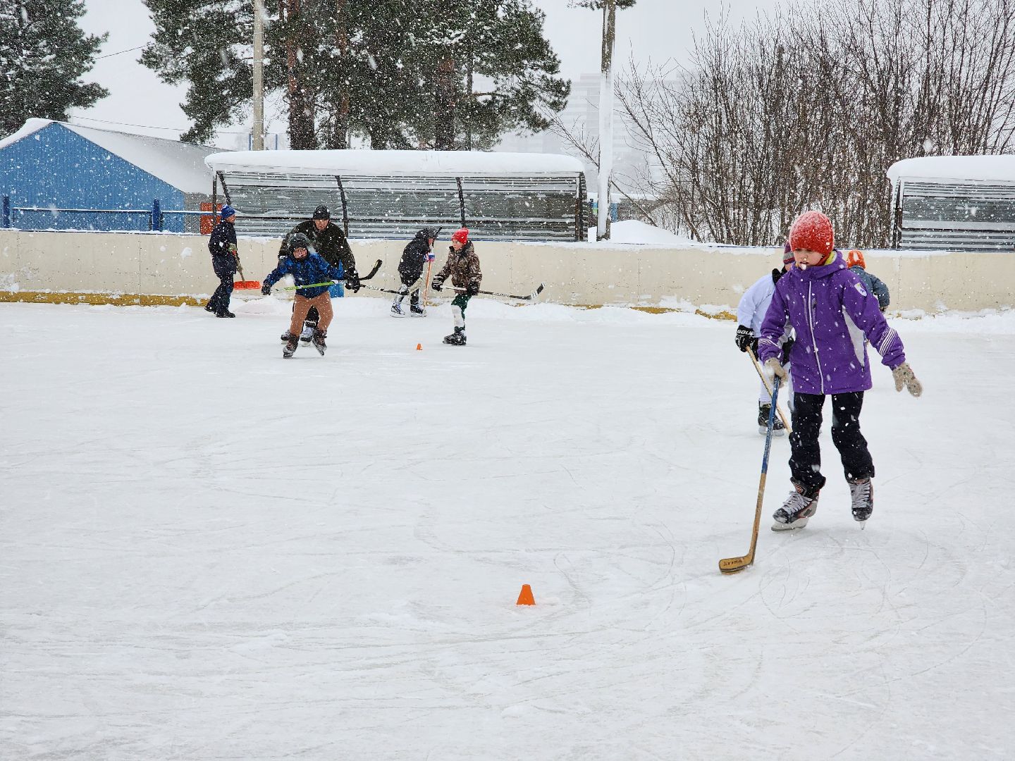 хоккей, спорт, секция, Старая Купавна, Богородский городской округ,
