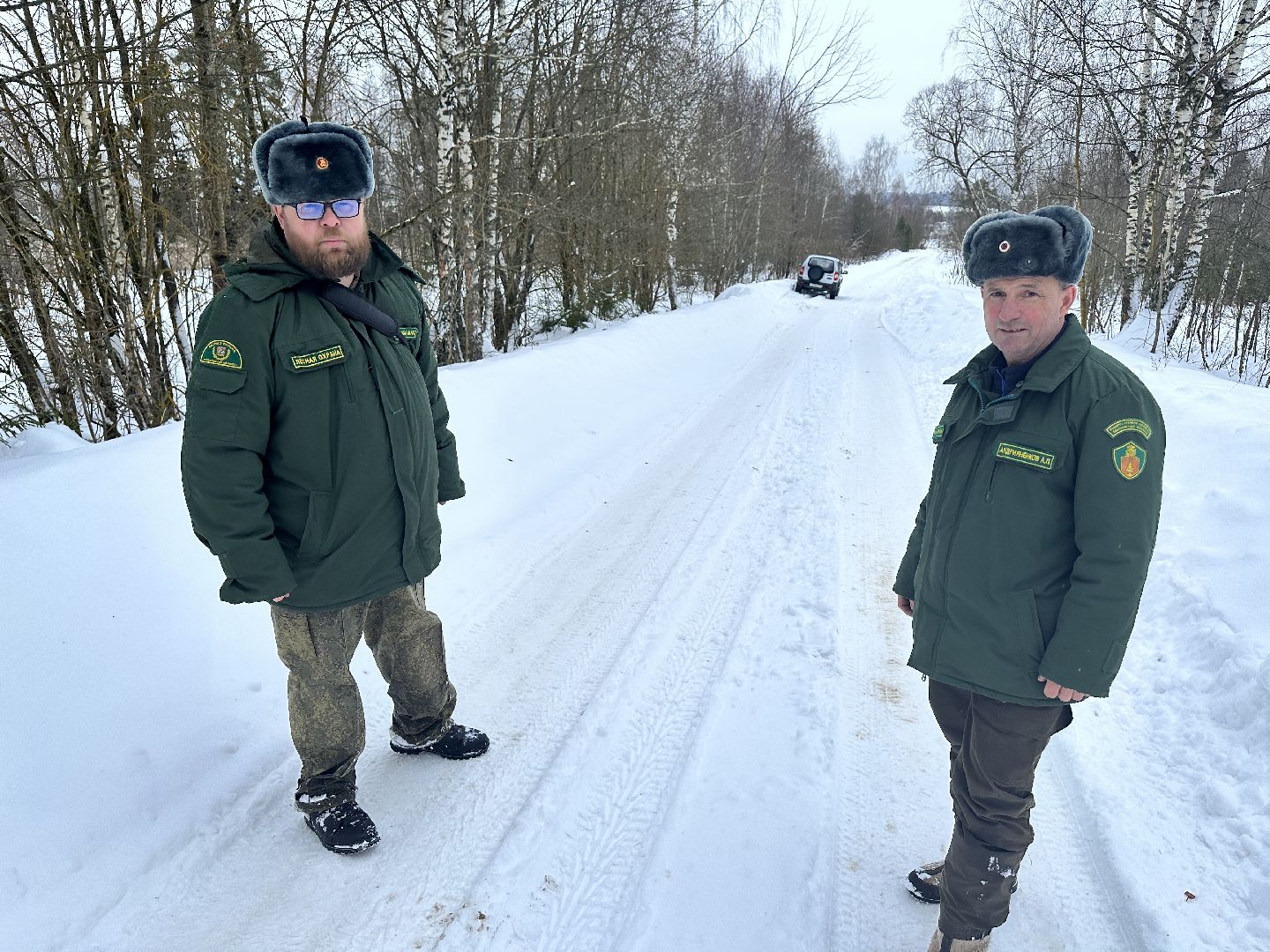 Операция Елочка, Незаконная рубка елок,Наро-Фоминск, вырубка леса,